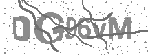 visual captcha